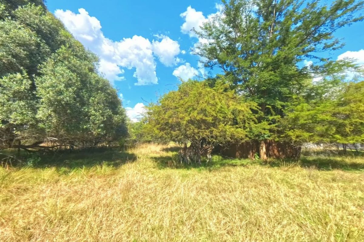 A view of a natural, undeveloped residential plot featuring mature trees and wild grass, suitable for future landscaping or development.
