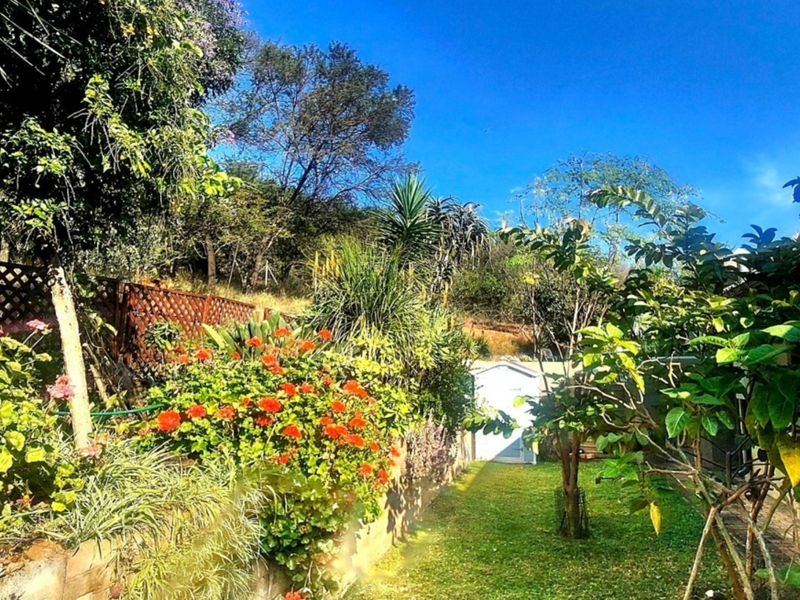 A lush, well-established garden featuring mature trees, vibrant flowering shrubs, a manicured lawn, and a retaining wall with lattice fencing.