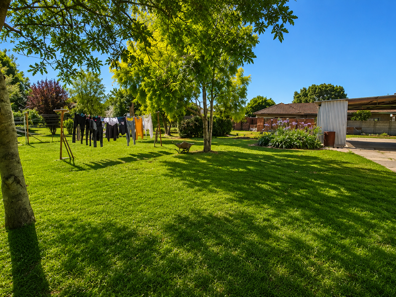 A spacious rear garden featuring a well-maintained lawn, mature trees, a paved walkway, and a corrugated metal storage structure.