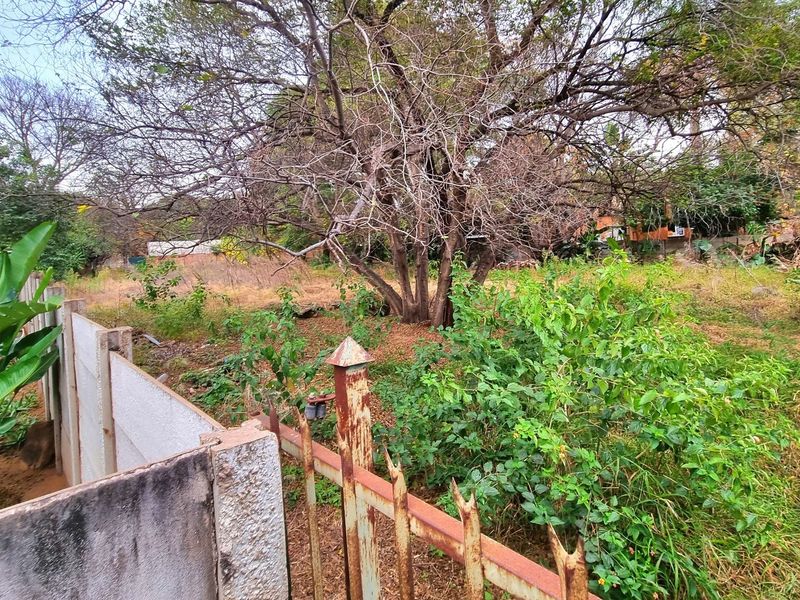 A vacant residential plot featuring mature trees, overgrown vegetation, and existing perimeter boundary fencing including precast concrete walls and metal fencing.