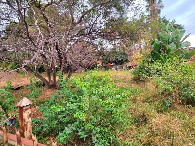 A view of a vacant residential plot featuring mature trees, overgrown vegetation, and existing perimeter fencing.