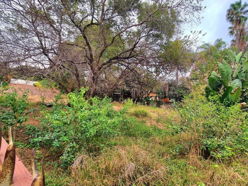 A view of a residential vacant land plot featuring mature trees, overgrown vegetation, and existing perimeter fencing.