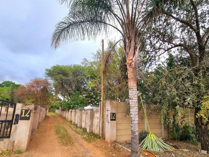 Front view of a vacant residential plot featuring a perimeter wall, metal gate, and unpaved driveway access.