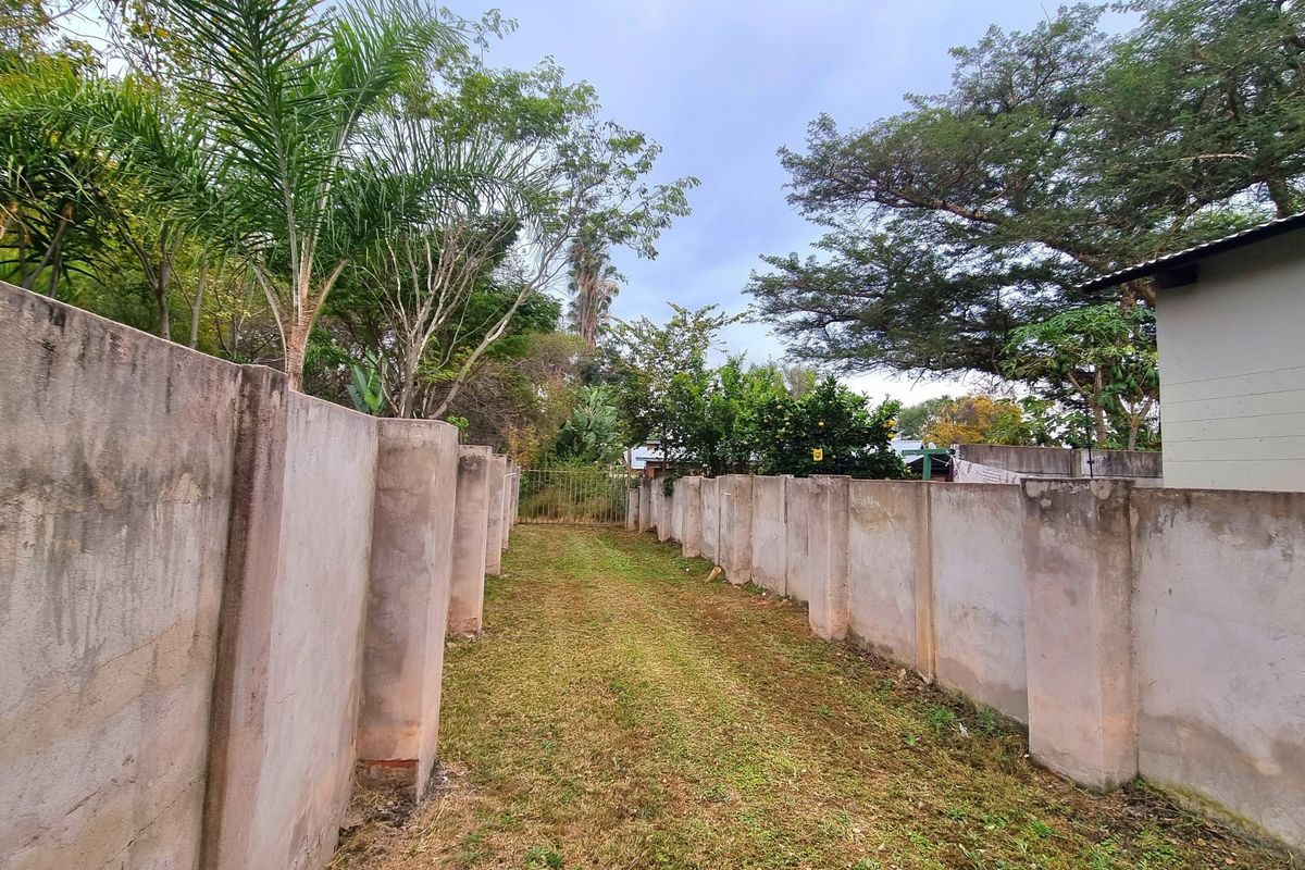 A narrow residential garden area enclosed by high concrete boundary walls and featuring a metal access gate.
