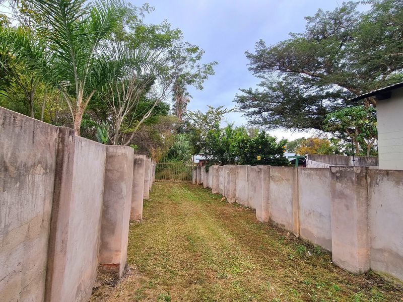 A narrow residential garden area enclosed by high concrete boundary walls and featuring a metal access gate.