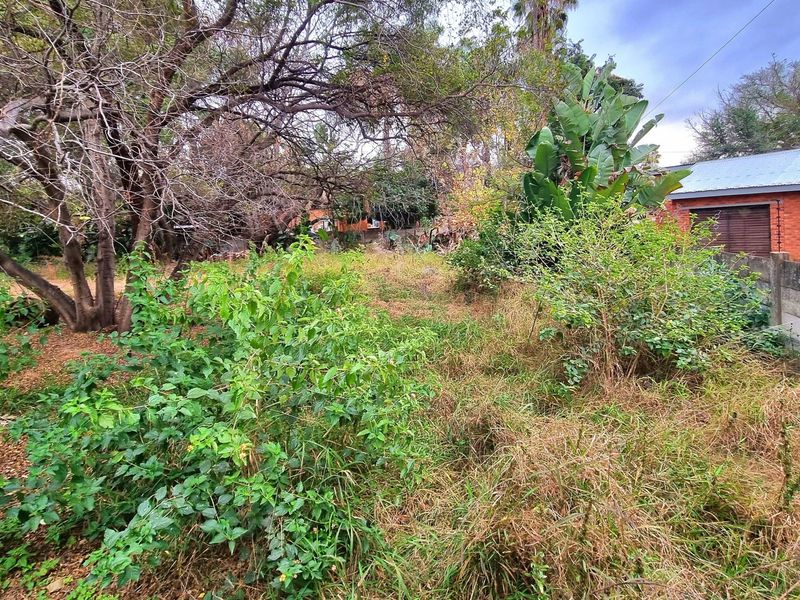 A view of a residential plot featuring mature trees, overgrown vegetation, and a brick boundary wall with electric fencing.