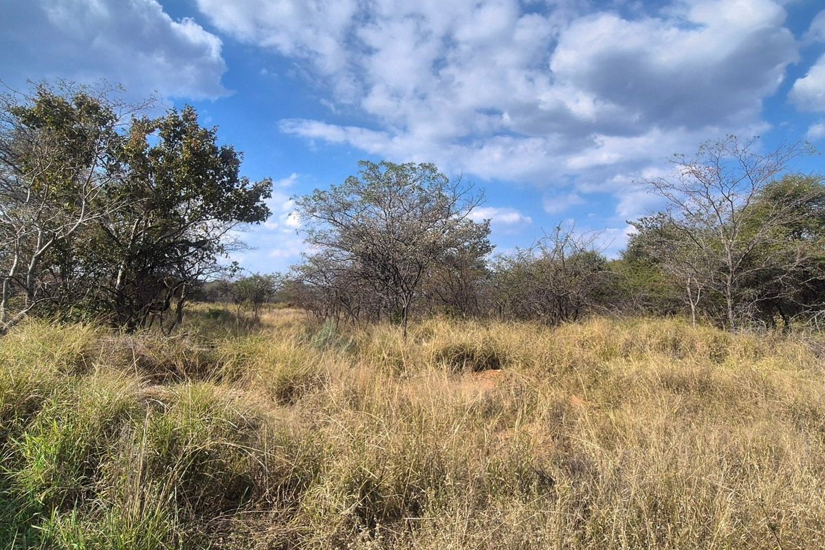 A view of a vacant residential plot featuring natural grassland and indigenous trees under a clear blue sky.