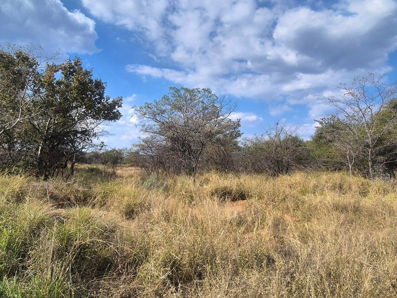 A view of a vacant residential plot featuring natural grassland and indigenous trees under a clear blue sky.