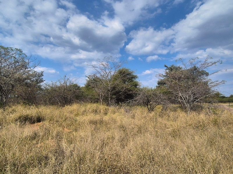 A view of the vacant residential land featuring natural grassland and scattered native trees under a clear blue sky.