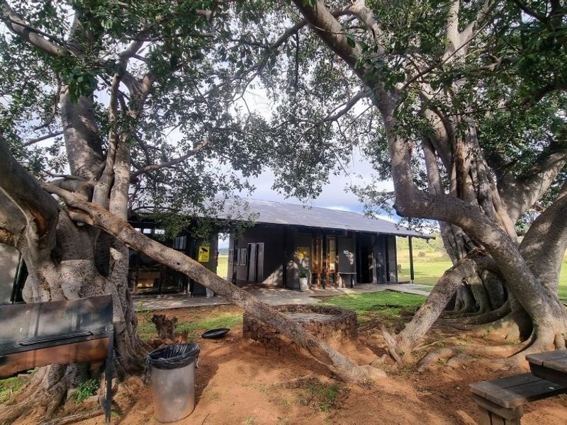 A rear view of the property featuring a covered patio area, a stone fire pit, and large mature trees providing shade in the garden.
