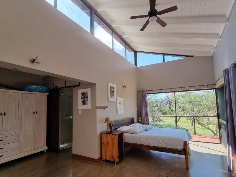 Spacious bedroom featuring high vaulted ceilings with exposed rafters, polished concrete floors, and large clerestory windows providing abundant natural light and garden views.