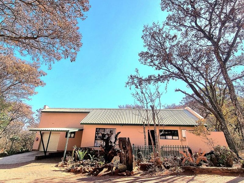 Front elevation of a single-story house featuring a corrugated metal roof, attached carport, and paved driveway, set within a natural wooded landscape.