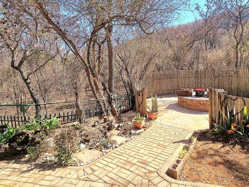 Outdoor patio area featuring a built-in brick braai, paved walkway, and natural reed fencing, set against a backdrop of dry woodland vegetation.