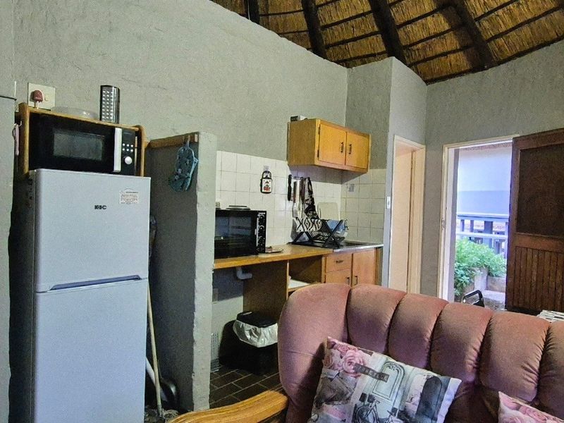 Open-plan living area featuring a rustic thatched roof with exposed rafters and a compact kitchen space with built-in cabinetry and tiled backsplash.