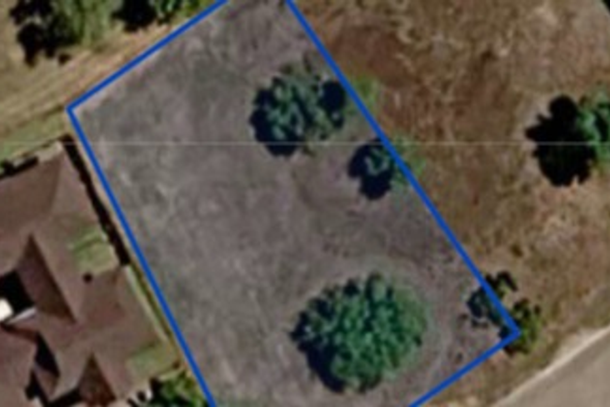 An aerial view of a vacant residential plot of land with established trees, outlined in blue for property boundary identification.