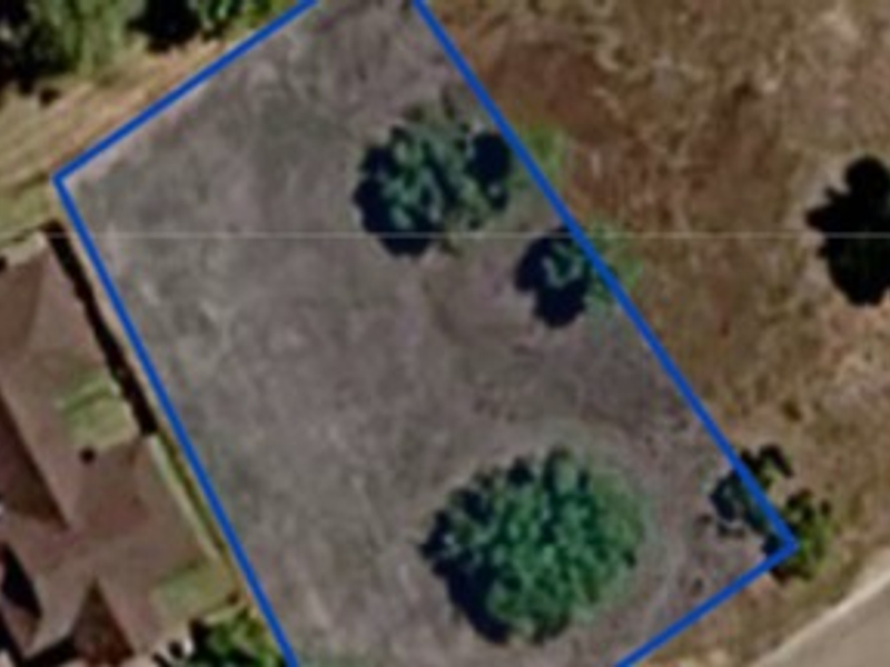 An aerial view of a vacant residential plot of land with established trees, outlined in blue for property boundary identification.