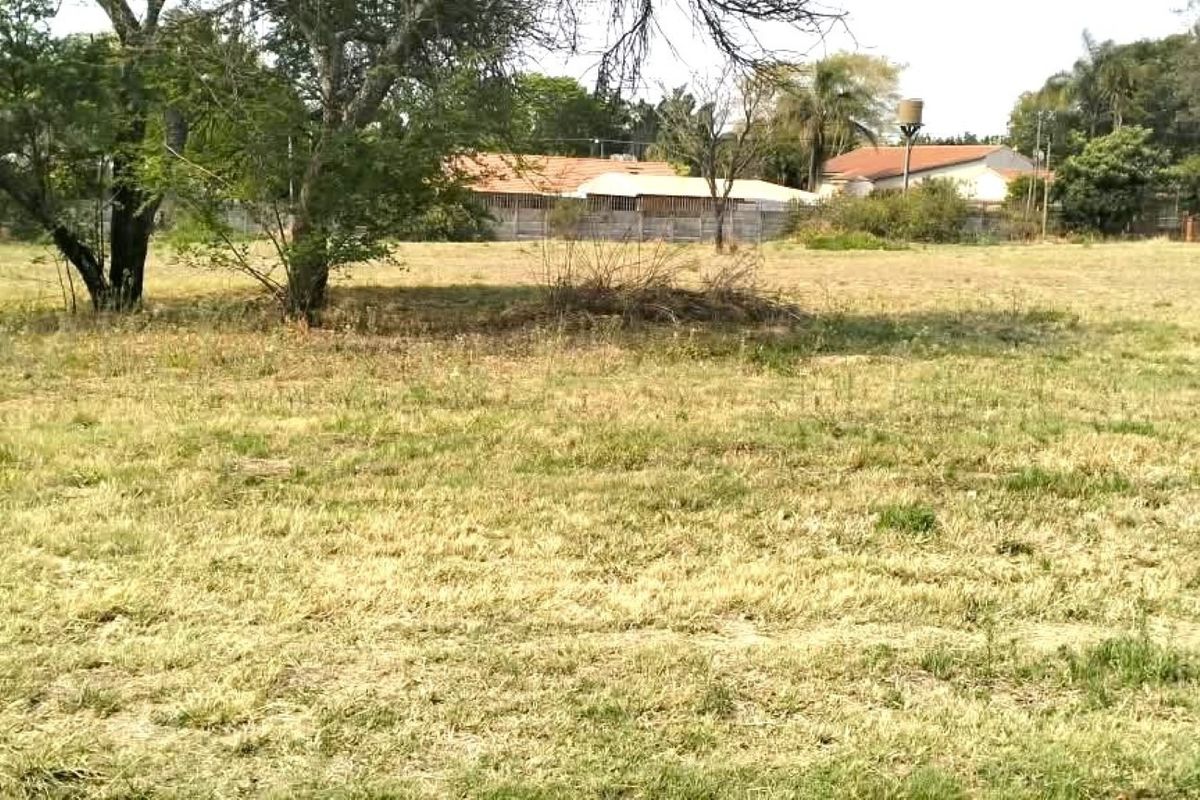 A spacious, level residential vacant land plot featuring established trees and perimeter walling, offering a blank canvas for future development.