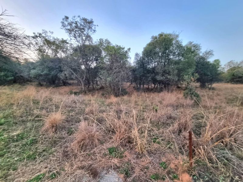 A view of a vacant residential plot featuring natural vegetation, mature trees, and dry grass, suitable for future development.