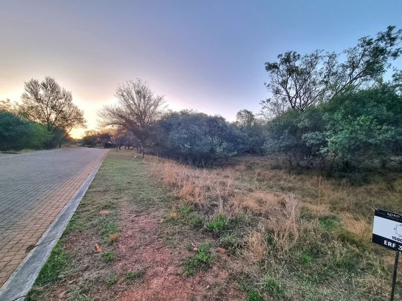A street-level view of a vacant residential plot featuring a paved road, concrete curbing, and established trees along the verge.