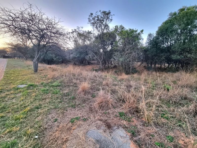 A view of a vacant residential plot featuring natural vegetation, mature trees, and an accessible utility point.