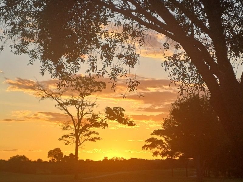 A scenic sunset view over the vacant residential land, framed by mature trees.