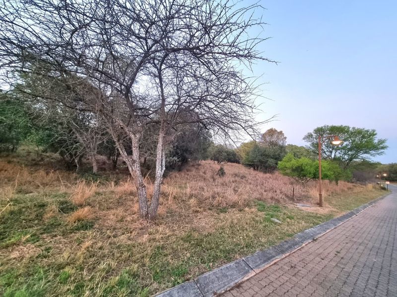 A view of a vacant residential plot featuring natural vegetation, mature trees, and adjacent paved street infrastructure with lighting.
