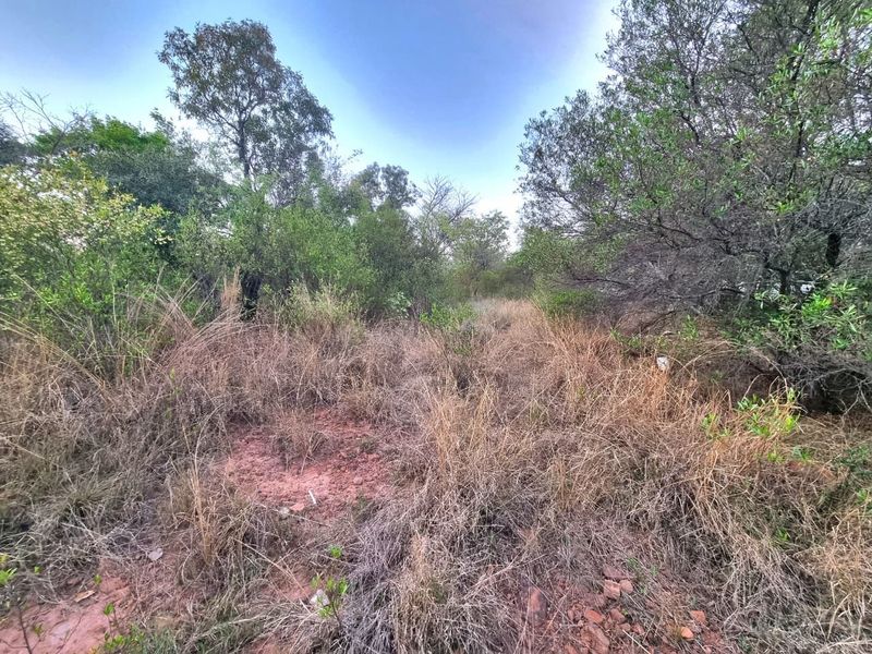 A view of the natural, undeveloped residential land featuring native trees and wild grasses.