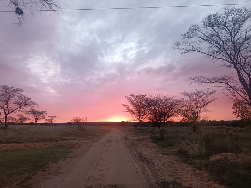 A scenic view of a dirt road leading through a natural landscape at sunset, showcasing the property's open terrain and surroundings.