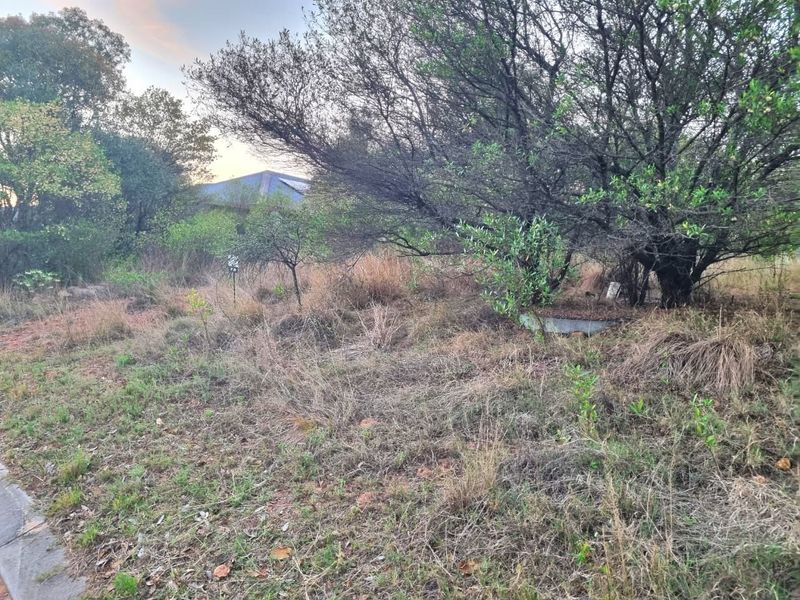 A view of a vacant residential plot featuring mature trees and overgrown natural vegetation, showing the current undeveloped state of the land.