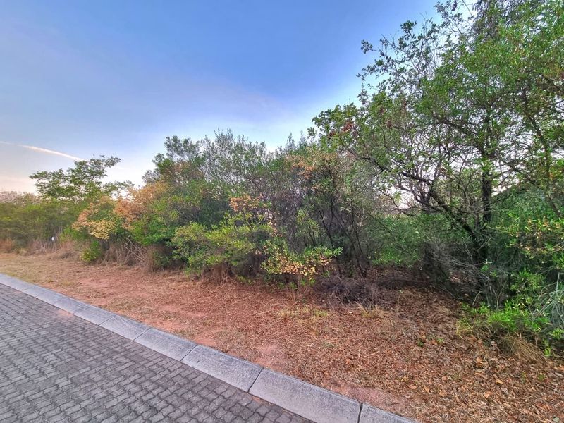 A view of the street frontage showing a paved curb and natural vegetation bordering the vacant residential land.