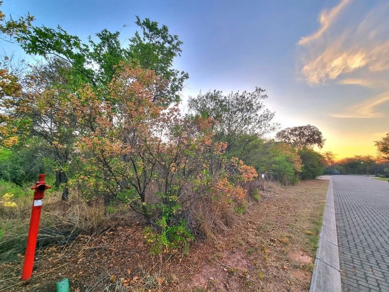 A view of a vacant residential plot featuring natural vegetation, a fire hydrant, and an adjacent paved road with a concrete curb.