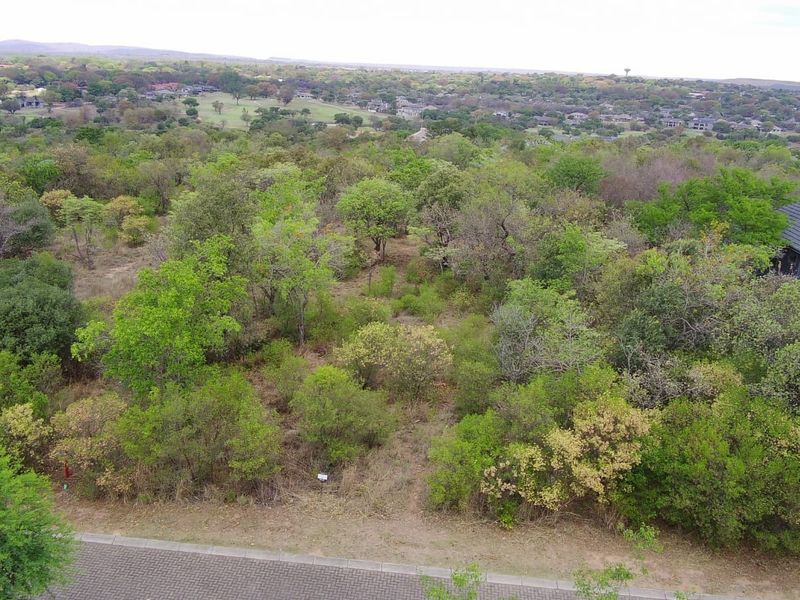 Aerial view of a vacant residential plot featuring established indigenous trees and shrubs, situated adjacent to a paved road in a residential estate.