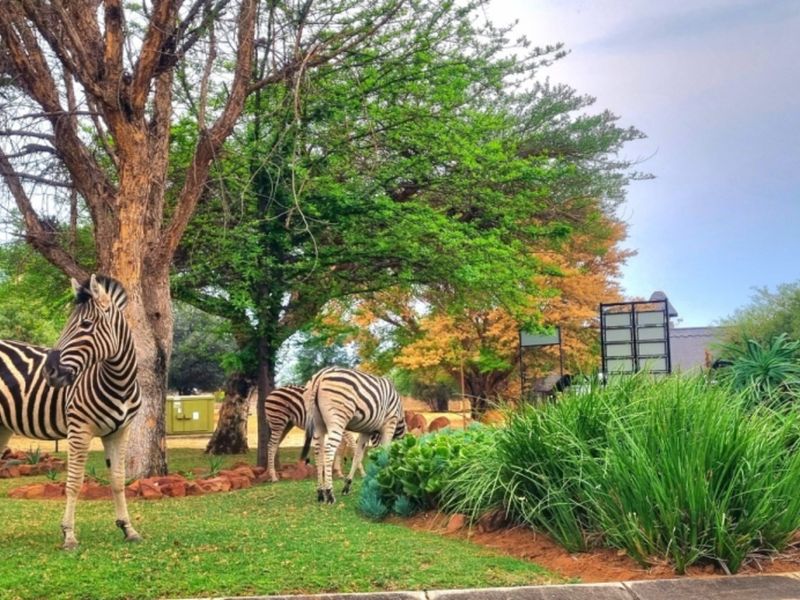 A well-maintained residential garden area featuring mature trees, landscaped rockery borders, and lush greenery, providing a natural and serene outdoor setting.