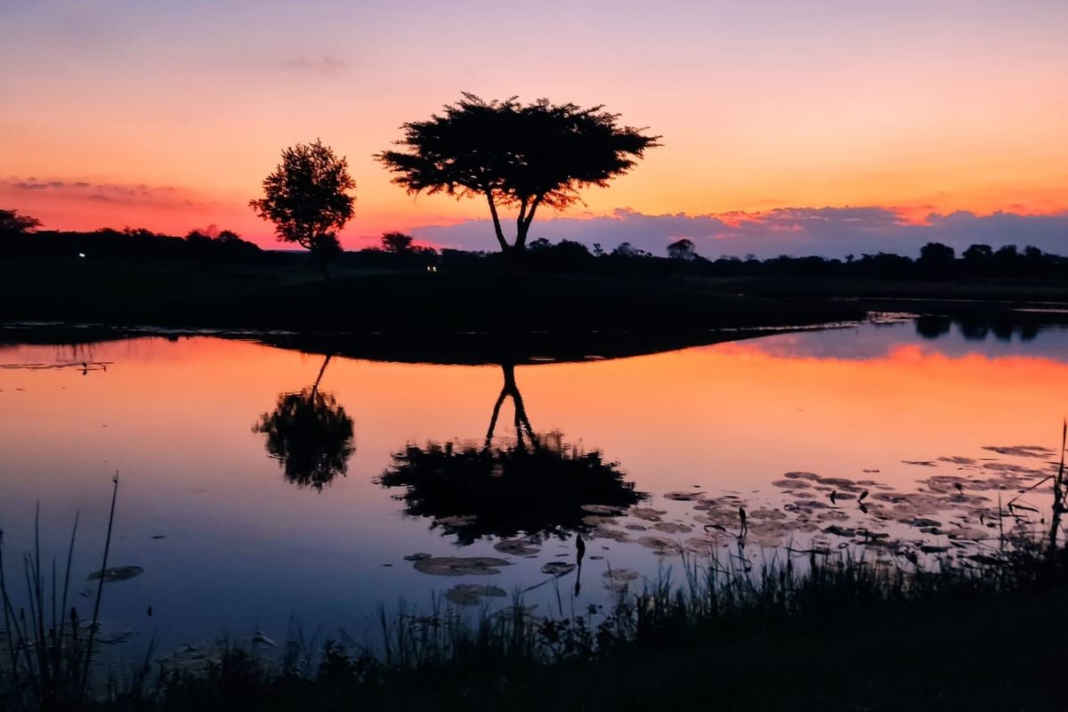 A scenic sunset view over a tranquil pond, highlighting the natural landscape and peaceful atmosphere of the residential estate.