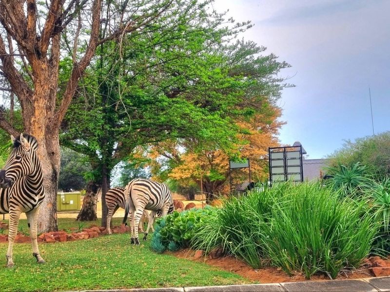 A well-maintained garden area featuring mature trees, lush greenery, and stone-edged landscaping, providing a natural and serene outdoor environment.