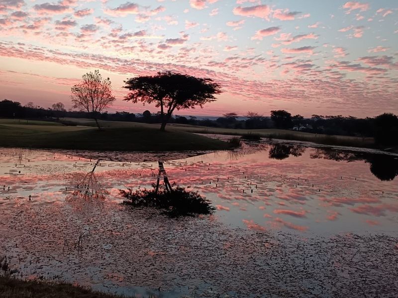 A scenic view of a tranquil pond reflecting a vibrant sunset sky, showcasing the natural beauty of the estate grounds.