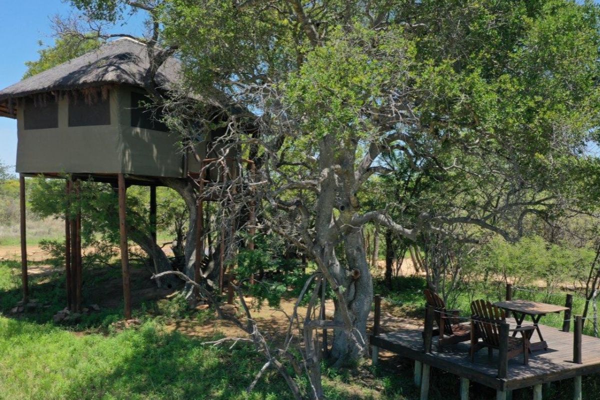 An elevated treehouse-style structure with a thatched roof and canvas walls, featuring an adjacent timber deck set within a natural bushveld environment.