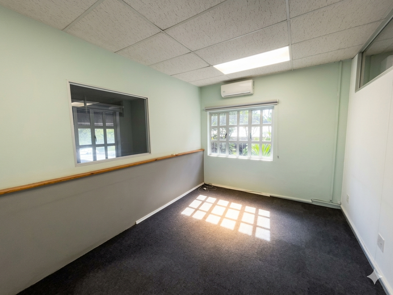 A bright, empty office space featuring a suspended ceiling, split-system air conditioning, carpeted flooring, and natural light through grid windows.