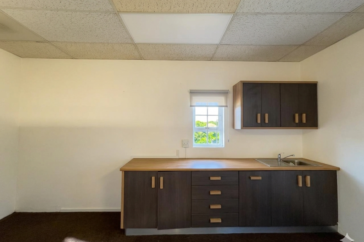 A functional office kitchenette featuring dark wood cabinetry, a laminate countertop, stainless steel sink, and a drop ceiling with integrated lighting.