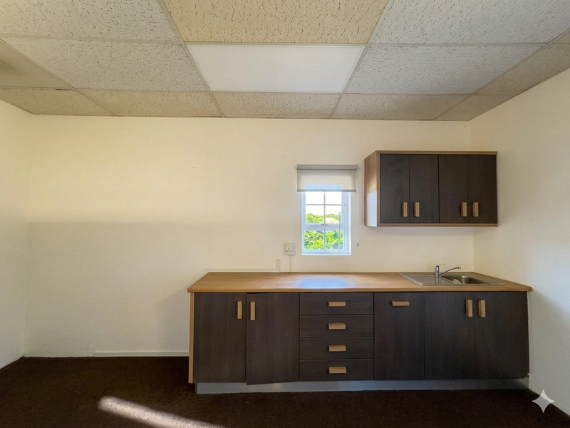 A functional office kitchenette featuring dark wood cabinetry, a laminate countertop, stainless steel sink, and a drop ceiling with integrated lighting.