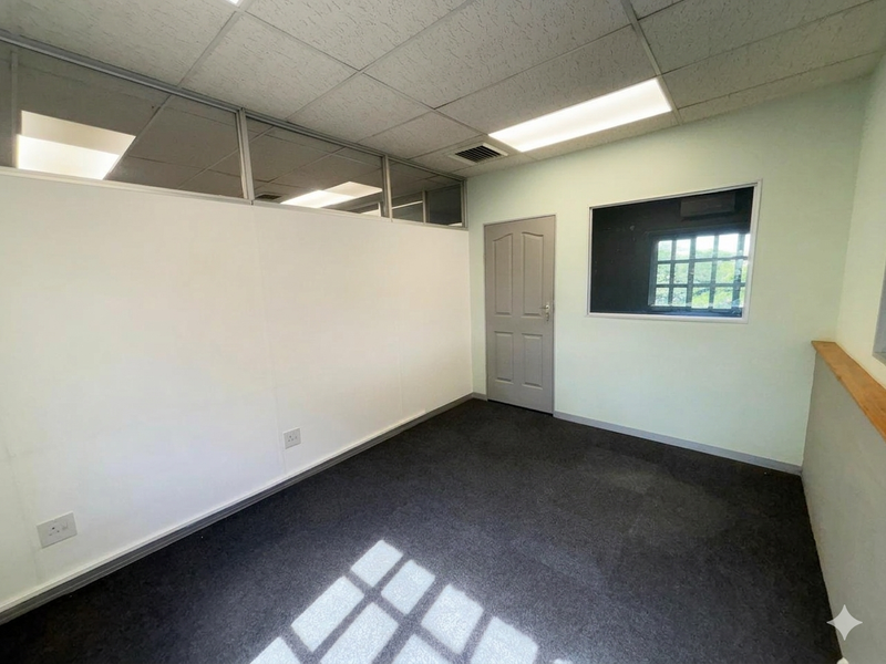A clean, empty office space featuring a suspended ceiling, carpeted flooring, and a partition wall with glass transom, providing a functional workspace environment.