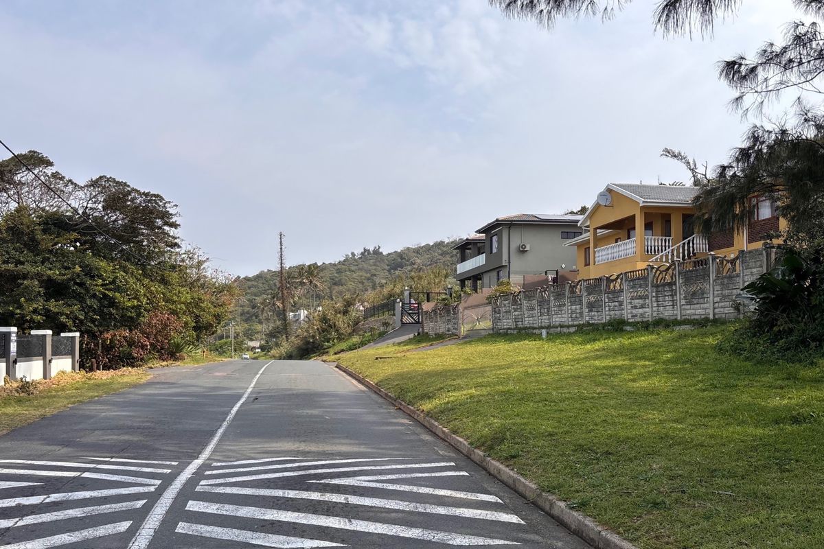 A street view showing the asphalt road, grass verge, and surrounding residential properties with boundary walls.