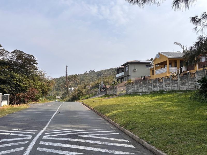 A street view showing the asphalt road, grass verge, and surrounding residential properties with boundary walls.