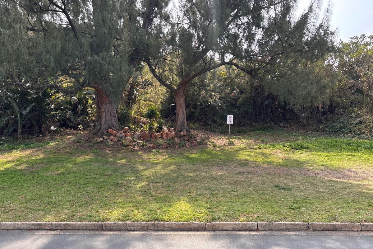 A view of a vacant commercial plot featuring mature trees, a landscaped rock garden, and a concrete curb along the street frontage.