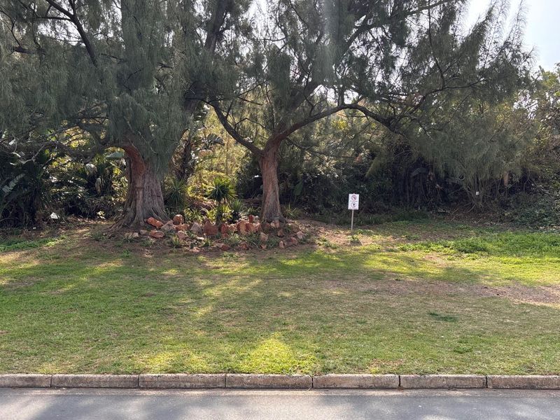 A view of a vacant commercial plot featuring mature trees, a landscaped rock garden, and a concrete curb along the street frontage.