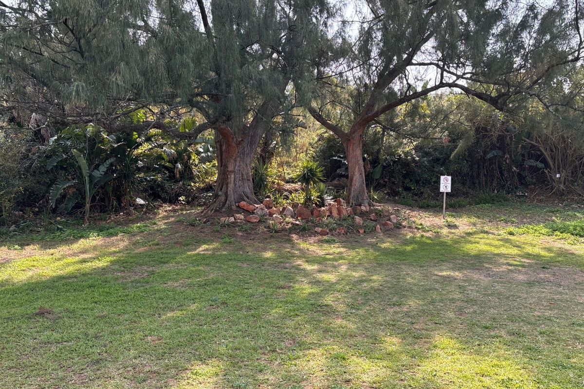 A view of a landscaped garden area featuring mature trees and a decorative rock border on the vacant commercial property.