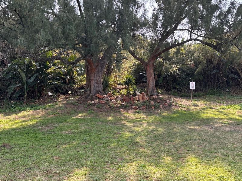 A view of a landscaped garden area featuring mature trees and a decorative rock border on the vacant commercial property.