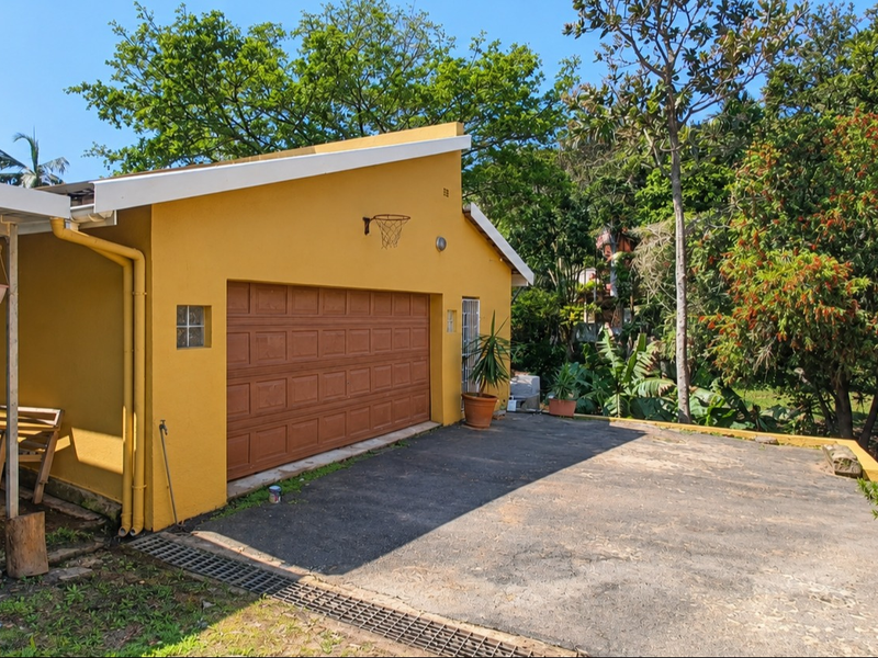 A detached garage with a brown sectional door, asphalt driveway, and functional drainage system, set within a mature garden environment.