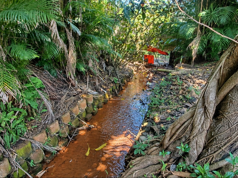 A natural stream feature bordered by a brick retaining wall and dense tropical vegetation in the property garden.