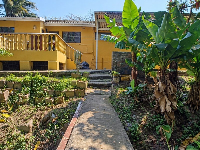 Rear view of the house featuring a raised patio with balustrade, concrete stairs, and a garden pathway leading to the main structure.